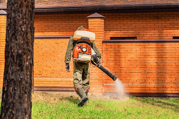 Trusted Fumigation Services service in Atlantic Beach, NY - Nex Pest Control